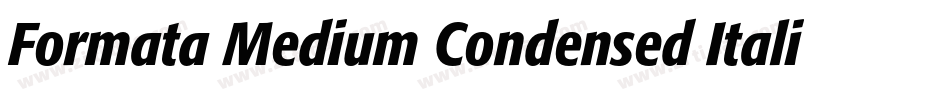 Formata Medium Condensed Italic字体转换